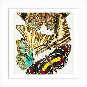 Butterflies Of The World 2 Art Print