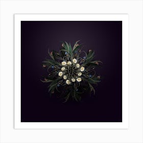 Vintage Ornithogalum Spathaceum Botanical Wreath on Royal Purple Art Print