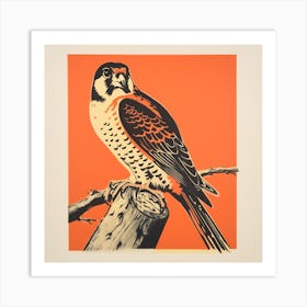 Retro Bird Lithograph American Kestrel 3 Art Print