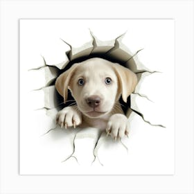 Puppy Peeking Out Of A Hole Art Print