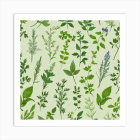 Seamless Pattern Of Herbs 7 Art Print