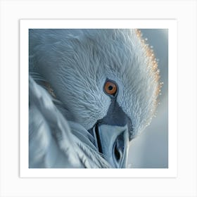 Swan Portrait Art Print