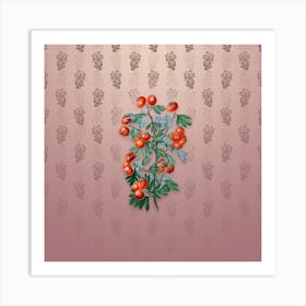 Vintage Sweet Scented Hawthorn Botanical on Dusty Pink Pattern n.1711 Art Print