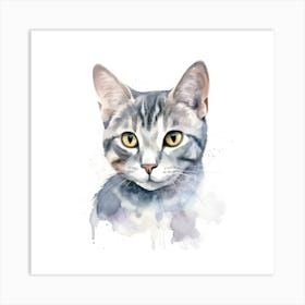 Hungarian Shorthair Cat Portrait 3 Art Print