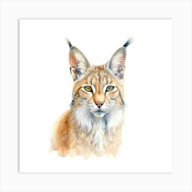 Desert Lynx Cat Portrait 3 Art Print