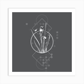 Vintage Tall Bearded Iris Botanical with Line Motif and Dot Pattern in Ghost Gray Art Print
