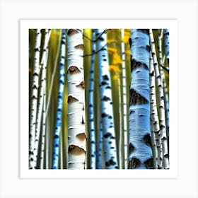 Birch Trees 61 Art Print