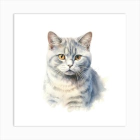 Russian Shorthair Cat Portrait 3 Art Print