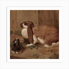 Rabbits 1 1 Art Print