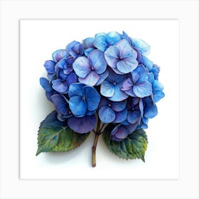 Blue Hydrangea 5 Affiche