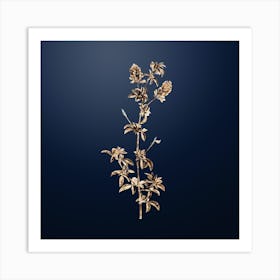 Gold Botanical Spanish Clover Bloom on Midnight Navy n.0169 Art Print