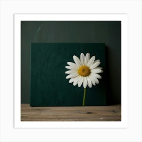 Daisy Art Print