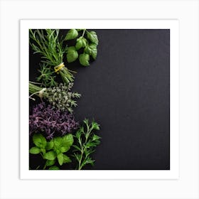 Fresh Herbs On Black Background Art Print