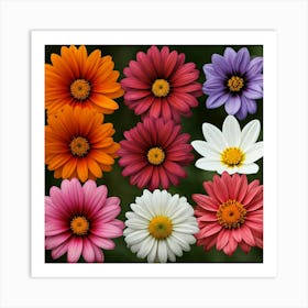 Daisy Bouquet Art Print