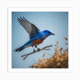 Bluebird Art Print