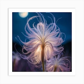 Moonlight Flower Art Print