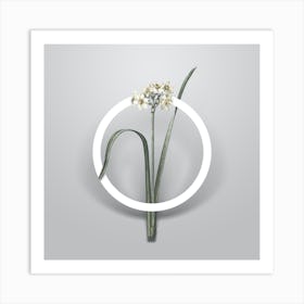 Vintage Cowslip Cupped Daffodil Minimalist Floral Geometric Circle on Soft Gray n.0240 Art Print