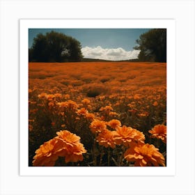 Field Of Orange Flowers Art Print