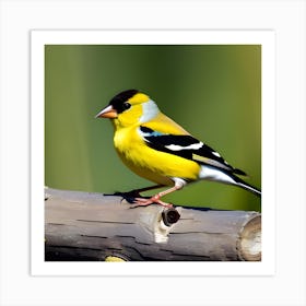 Goldfinch 9 Art Print