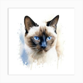 Snowshoe Cat Portrait 2 Art Print