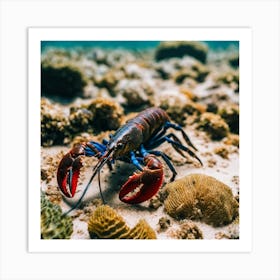 Red Lobster On Coral Reef Art Print