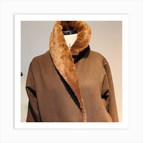 Brown Fur Coat Art Print