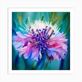 Colorful Cornflower Art Print