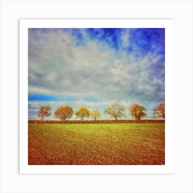 Line Of Autumnal Trees Square Art Print