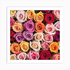 Colorful Roses 13 Art Print