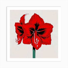 Amaryllis Art Print