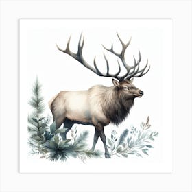 Elk 4 Art Print