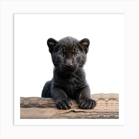 Black Panther Cub Art Print