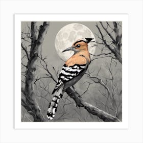 hoopoe on a beautiful quiet night Art Print