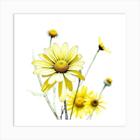 Yellow Daisies Art Print