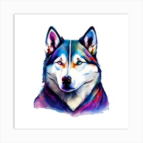 Siberian Husky Animal Wall Art Art Print