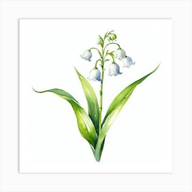 Lily Of The Valley Art Print