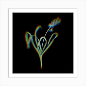 Prism Shift Dutch Hyacinth Botanical Illustration on Black n.0295 Art Print