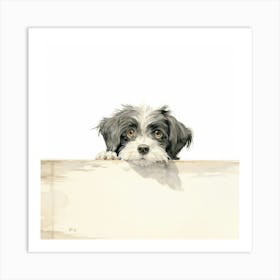 Shih Tzu 8 Art Print