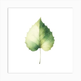 Watercolor Leaf Art Print