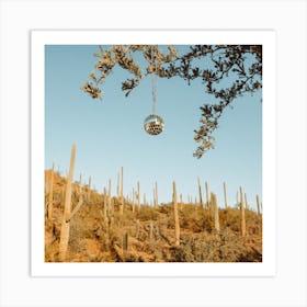 Disco Ball - Saguaro Cactus Desert - Southwest Arizona Nature Landscape Art Print