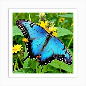 Blue Swallowtail Butterfly 3 Art Print