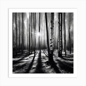 Birch Forest 40 Art Print