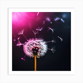 Drifting Dandelion Seeds Lit by Pink Art Print