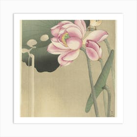 Lotus Flower Art Print