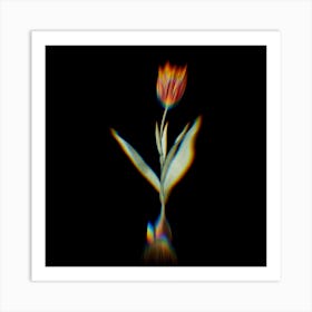 Prism Shift Tulip Botanical Illustration on Black n.0420 Art Print