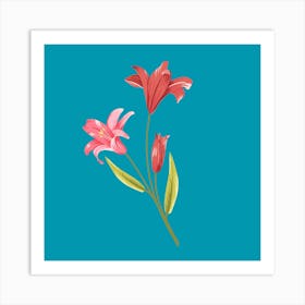 Pink Lilies 2 Art Print