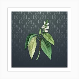 Vintage Malabar Nut Botanical on Slate Gray Pattern Art Print