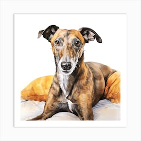 Brindle Greyhound relaxing Art Print