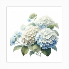 Hydrangeas 1 Art Print