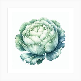 White cabbage Art Print